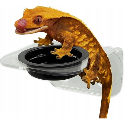 Repti Planet krmítko akrylové 1 miska 8x8x6,2 cm – Zboží Dáma Repti Planet krmítko akrylové 1 miska 8x8x6,2 cm – Zboží Dáma