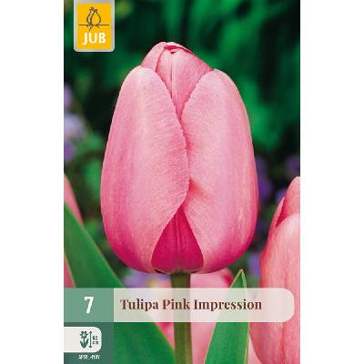 JUB Tulipán - Pink Impression