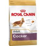 Royal Canin Royal Canin Cocker Adult Храна за кучета, суха, за кокер, възрастни, с царевица, птиче и ориз, 12 kg