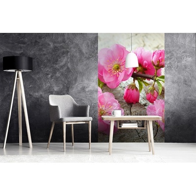 Dimex MS-2-0109 vliesová fototapeta na zeď Sakura rozmery 150 x 250 cm