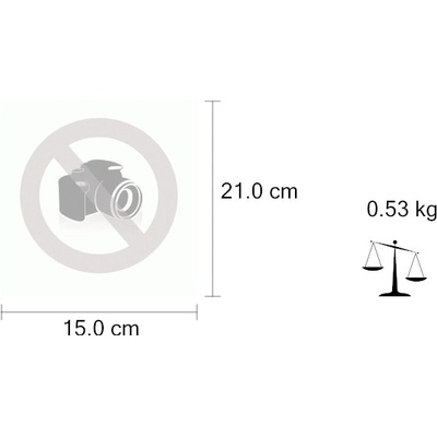 Křesťanství a islám v liberálním státu - Karel Sládek