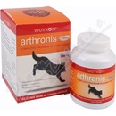 Vitamíny a doplnky stravy pre psov Arthronis acute 60 tbl. WOYKOFF OBC005506