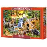 Castorland The Ark 3000 Piece Puzzle