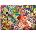 Anatolian - Puzzle 1960's - 500 piese
