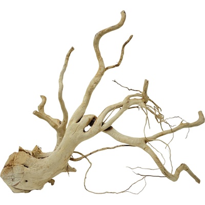 Invital Red moor wood KG 955 g Z05037