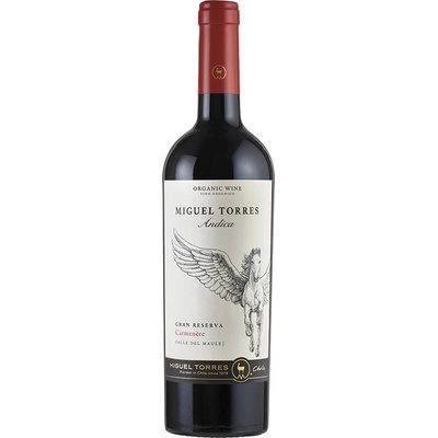 Ándica Carmenere Gran Reserva Maule Valle 2023 13,5% 0,75 l (holá láhev)