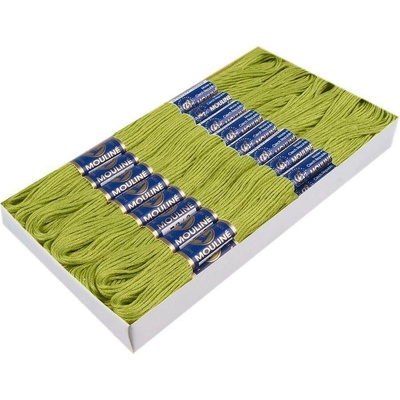 Stoklasa Příze vyšívací Mouline Niťárna Balení: 24 ks, Varianta: 6122 Lime Punch 6122 Lime Punch