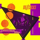 Buzzcocks - A Different Kind of Tension - 1 LP LP