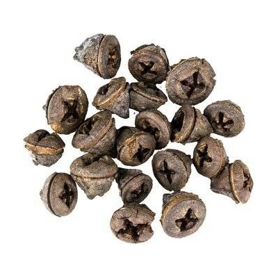 Vánoční Dekorace Eucalyptus Pod 20 ks