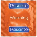 Pasante Warming 1 ks