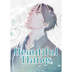 Beautiful Things: The Complete Manga Collection (ISBN: 9798891607361)