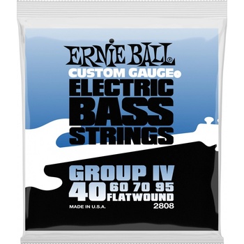 Ernie Ball 2808