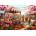Alipson Puzzle - Puzzle Local Honey and Tulips Spring Farmers - 1 000 piese
