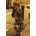Darling Days - iO Tillett Wright