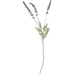 Bloomingville Изкуствено цвете Bloomingville лавандула (82061522)