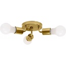 Toolight APP704-3C