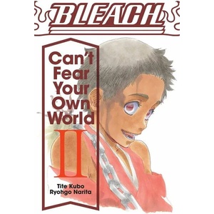 Bleach: Can't Fear Your Own World, Vol. 2 (ISBN: 9781974713271)