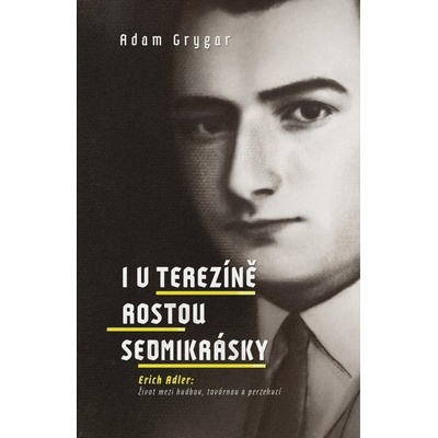 I v Terezíně rostou sedmikrásky: Erich Adler: Život mezi hudbou, továrnou a perzekucí