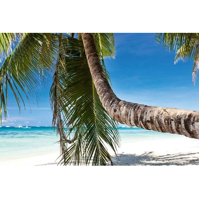 DIMEX ART Флизелинов фототапет детайл от палма 375 x 250 см
