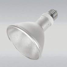 JBL ReptilDesert LUW Light 70 W
