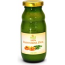 Grešík 100% Rakytníková šťáva 200 ml
