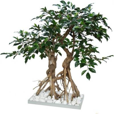 ILA Umělý strom Fikus Retusa Root Bonsai (80cm)