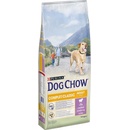 Purina Dog Chow Complet & Classic s jehněčím 14 kg