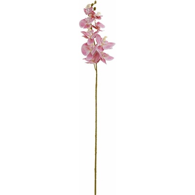 KS ORCHIDEA PHALAENOPSIS STARO-RUŽOVÁ 102CM