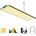 Viparspectra P4000