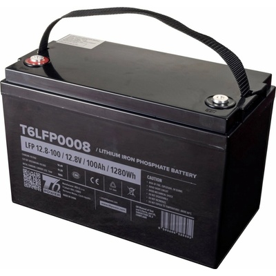T6 Power LiFePO4 12.8V 100Ah 1280Wh Bluetooth T16