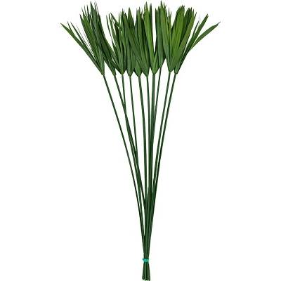 Stabilizovaná rastlina Papyruss bunch (10 pcs) 85 cm