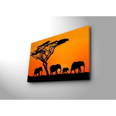 Wallity Obraz s LED osvetlením SLONIE PUTOVANIE 53 45 x 70 cm