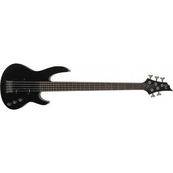 ESP LTD B-15 KIT