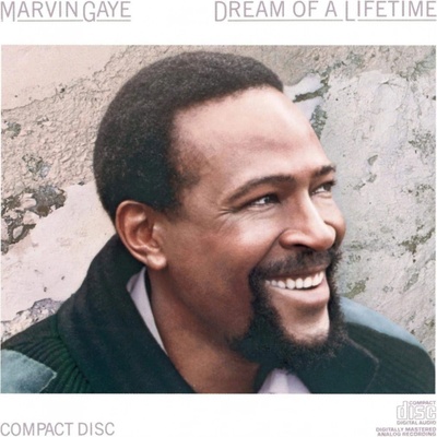 Marvin Gaye - DREAM OF A LIFETIME LP