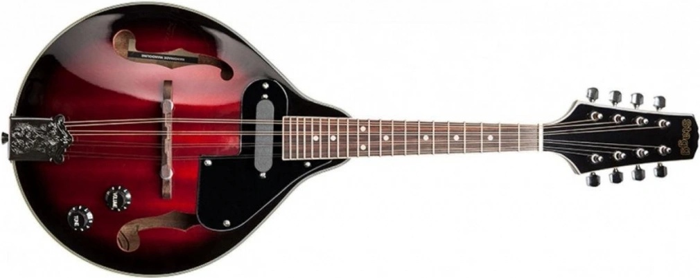 Stagg M50 E