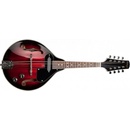 Stagg M50 E