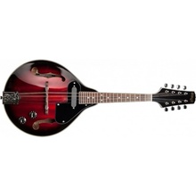 Stagg M50 E