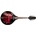 Stagg M50 E