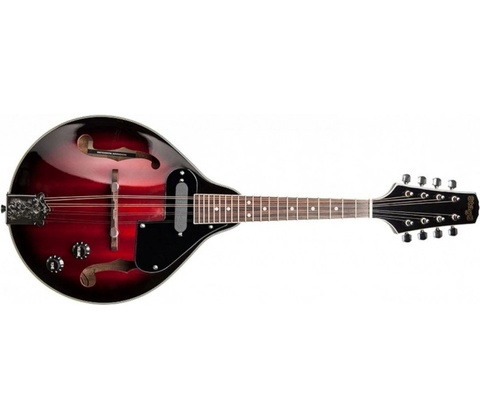 Stagg M50 E