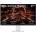 TCL 27P1AD