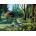 SunsOut - Puzzle Doughty - Sleepy Hollow Blue Birds - 1 000 piese
