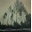 Wouter Dewit - Hold LP