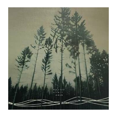 Wouter Dewit - Hold LP