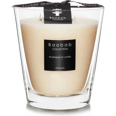 Baobab Collection All Seasons Madagascar Vanilla 16 cm