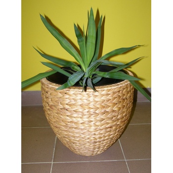 Kvetinac Vodni Hyacint () Kvetinac Vodni Hyacint