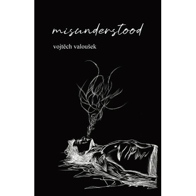 misunderstood - Vojtěch Valoušek