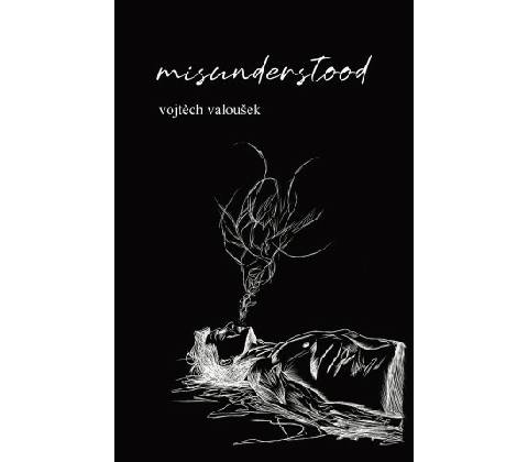misunderstood - Vojtěch Valoušek