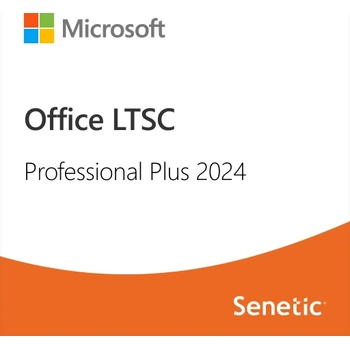 Microsoft Office 2024 Professional Plus LTSC (EP2-27314)