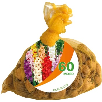 Seklos Чанта Гладиоли Микс Gladiolus Bag Mixed - 60 бр луковици