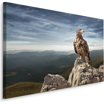 MyBestHome BOX Plátno Orel Na Vrcholu Hory Varianta: 100x70